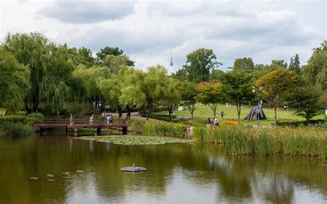 Der Yongsan Family Park: Ein grünes Paradies im Herzen Seouls!